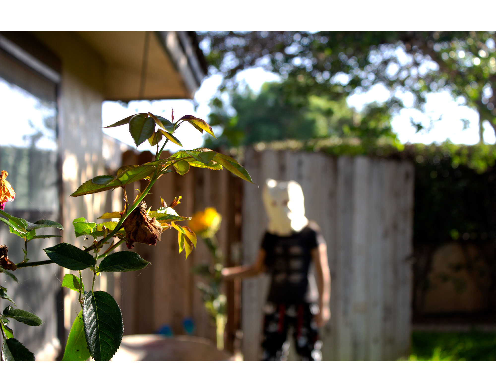 blurry image of a child in a backyard dressed as a ghost